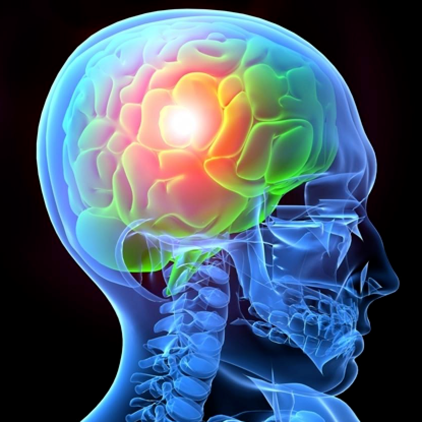 Rutgers Center for Cognitive Science